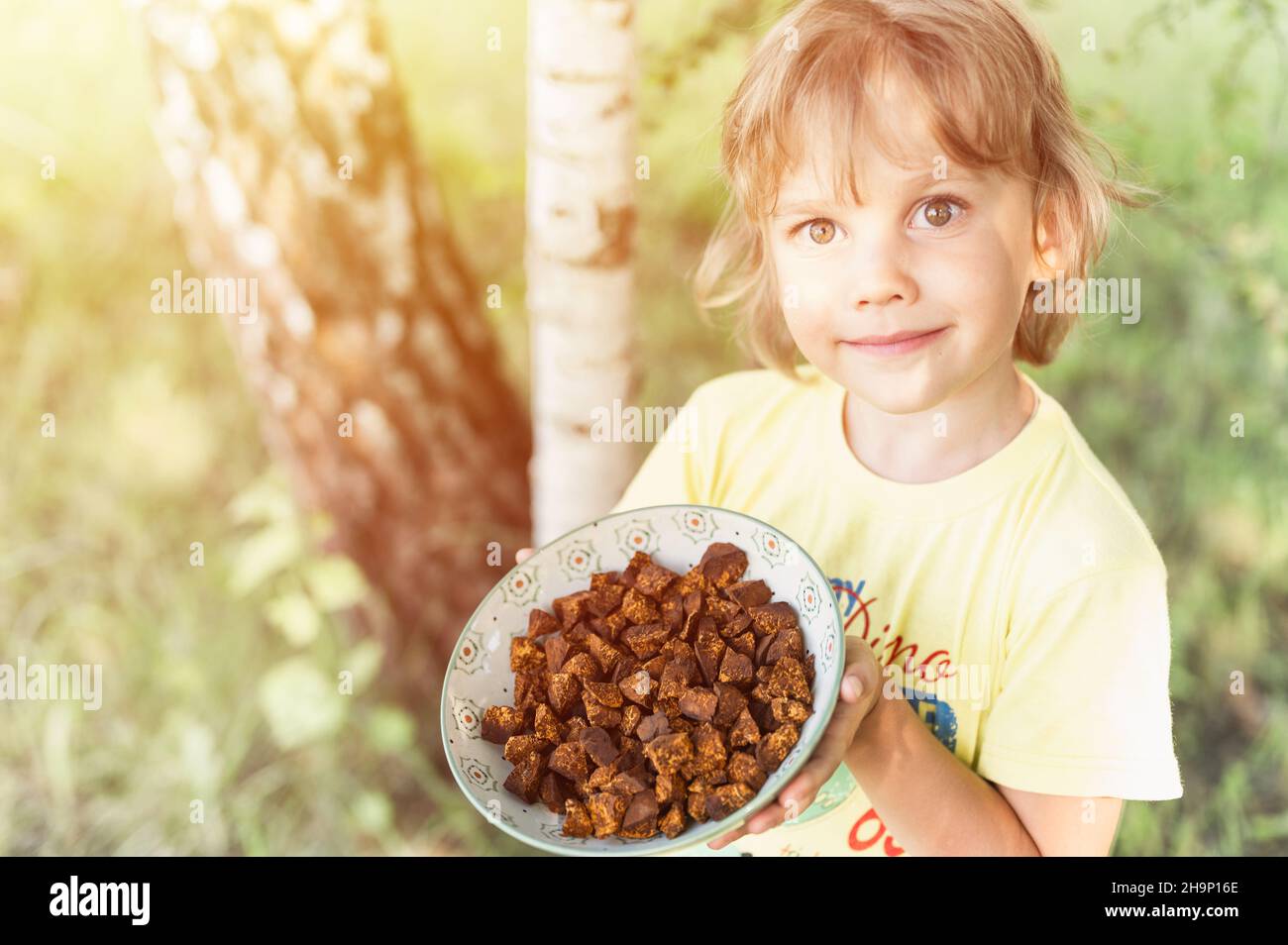 happy kid boy mains tenir la plaque avec des morceaux de chaga nettoyés et tranchés. foraged champignon de chaga champignon de bouleau sauvage il est utilisé dans alternative medici Banque D'Images