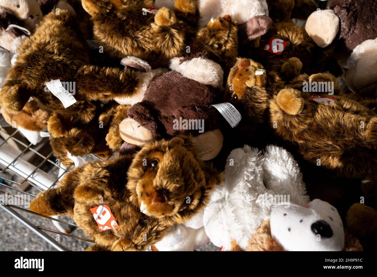 Marmottes peluche Banque de photographies et d'images à haute résolution -  Alamy