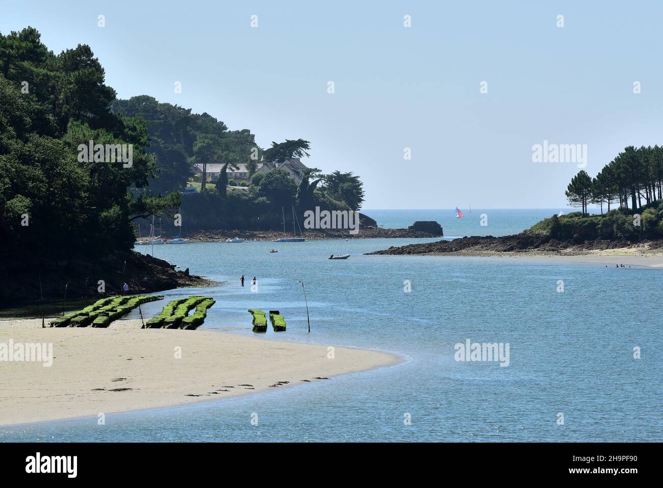 Riec-sur-Belon (Bretagne, Nord-Ouest de la France) : vue d'ensemble du fleuve Belon Banque D'Images Riec-sur-Belon (Bretagne, Nord-Ouest de la France) : vue d'ensemble du fleuve Belon Banque D'Images