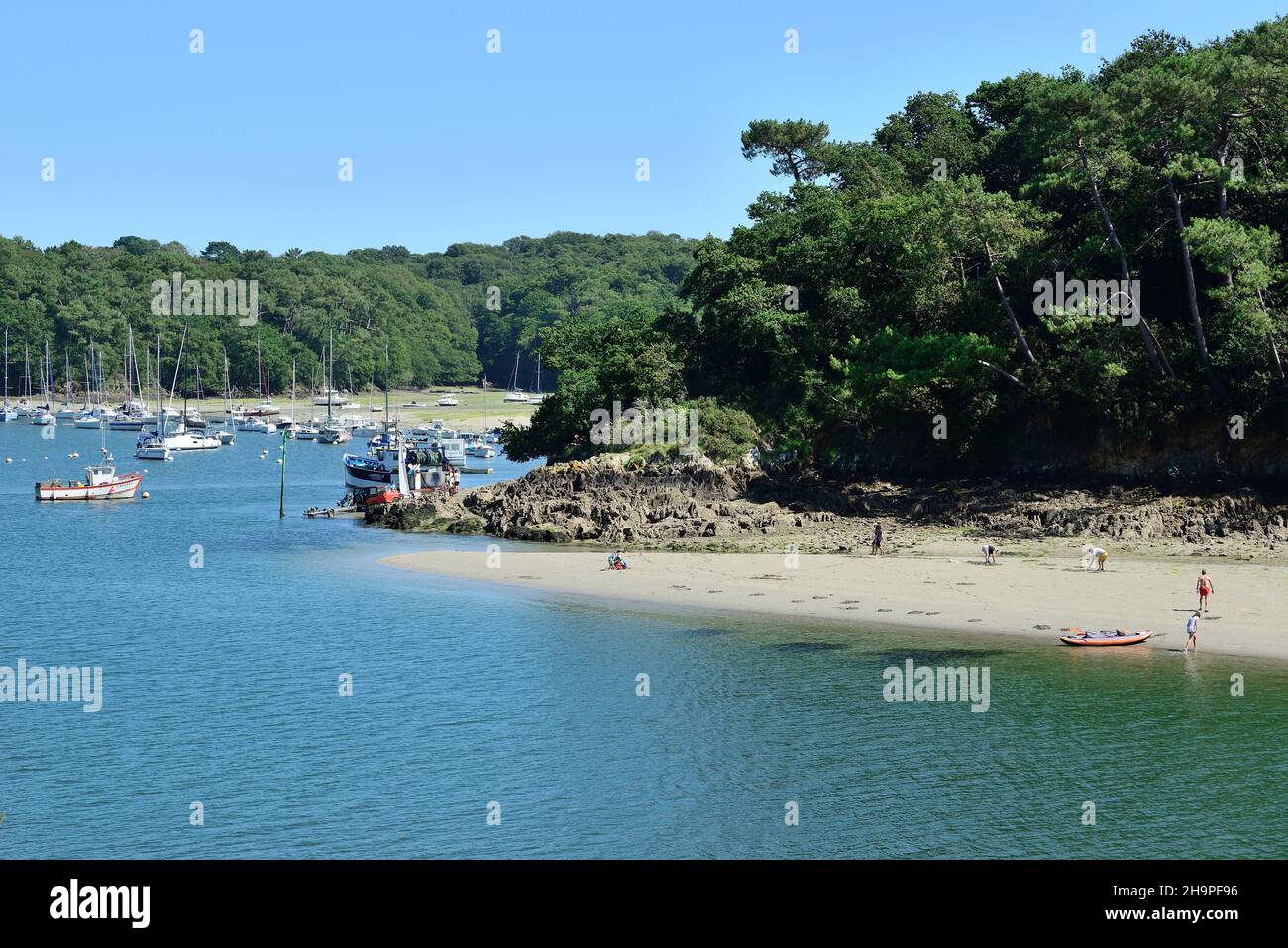 Riec-sur-Belon (Bretagne, Nord-Ouest de la France) : vue d'ensemble du fleuve Belon Banque D'Images Riec-sur-Belon (Bretagne, Nord-Ouest de la France) : vue d'ensemble du fleuve Belon Banque D'Images