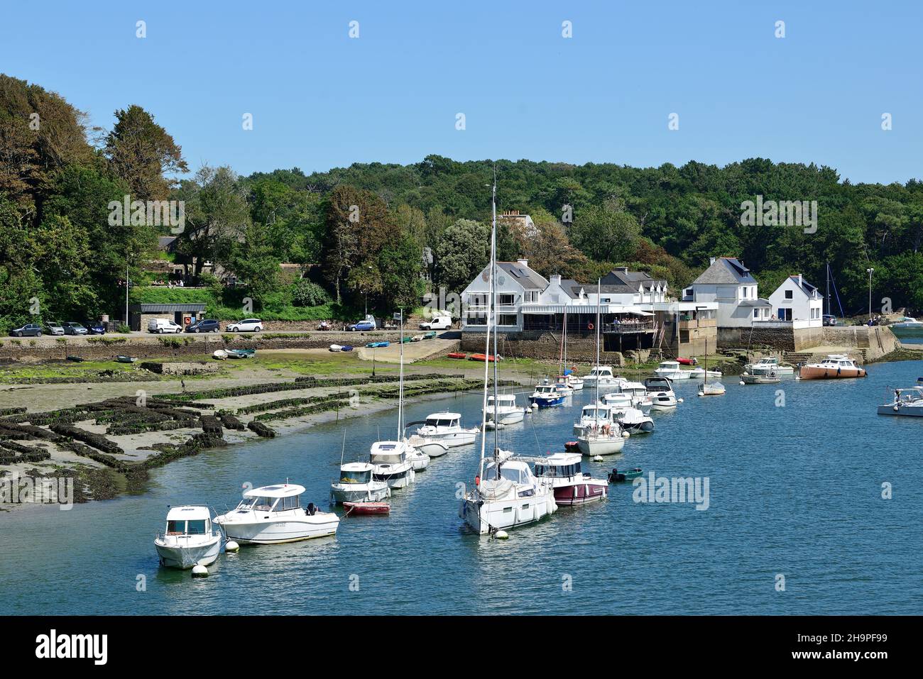 Riec-sur-Belon (Bretagne, nord-ouest de la France) : port au bord du fleuve Belon Banque D'Images Riec-sur-Belon (Bretagne, nord-ouest de la France) : port au bord du fleuve Belon Banque D'Images