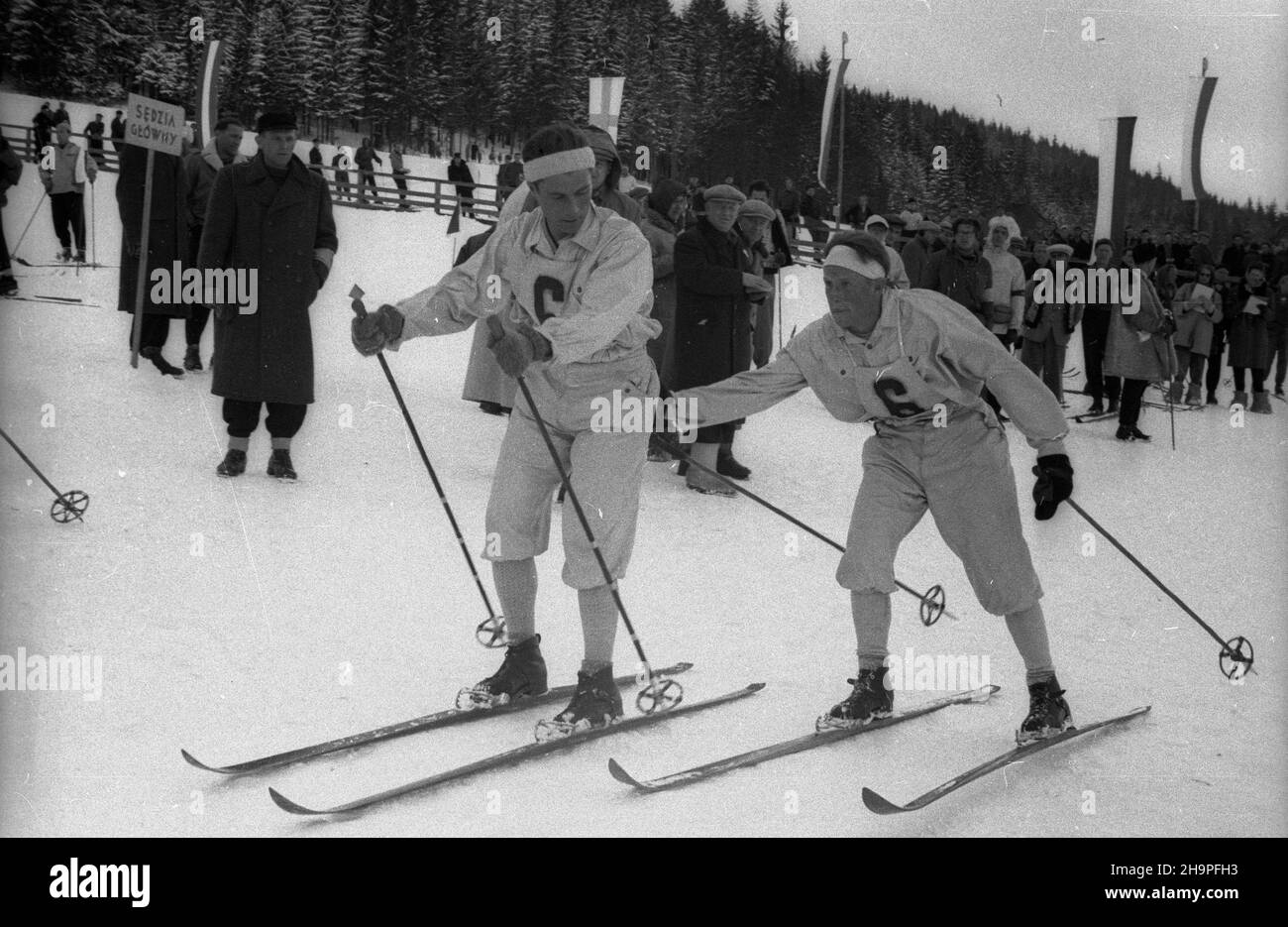 Zakopane, 1949-02-24.W Miêdzynarodowych Zawodach Narciarskich o Puchar Tatr wziê³o udzia³ przesz³o 250 zawodników i zawodniczek reprezentuj¹cych szeœæ pañstw: Czechos³owacjê, Wêgry, Rumuniê, Bu³gariê, Finlandiê i Polskê.NZ. Bieg rozstawny 4x10 km (bieg sztafetowy), W którym zwyciê¿y³a dru¿yna Finlandii. uu PAPZakopane, 24 février 1949.Le Concours international de ski de la coupe de montagne Tatra a réuni plus de 250 concurrents de 6 pays : Tchécoslovaquie, Hongrie, Roumanie, Bulgarie, Finlande et Pologne.Photo : course de relais de 4 x 10 km, gagnée par la Finlande. uu PAP Banque D'Images