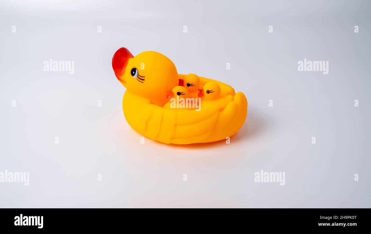 Le canard maternel et le caneton sont des oiseaux très affectueux.Ils sont très proches de leurs bébés et jouent avec eux en formant plusieurs formations. Banque D'Images