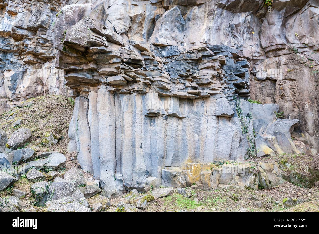 formes columnaires et lenticulaires, colonnes de lave verticales, écoulement de lave ancien, colonne de basalte, forme hexagonale,Sant Joan les Fonts, Garrotxa, Catalogne, Espagne Banque D'Images