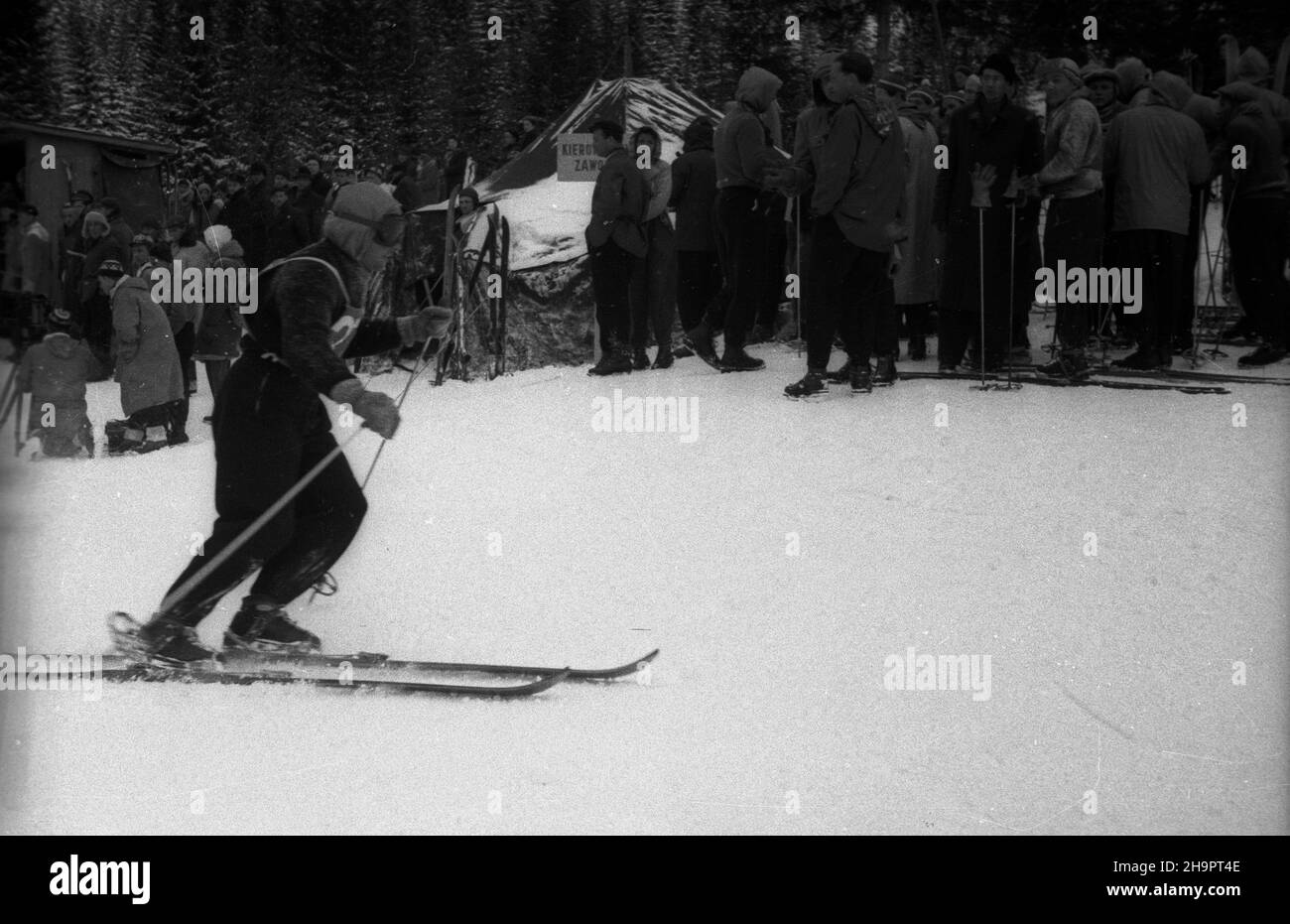 Zakopane, 1949-03-02.W Miêdzynarodowych Zawodach Narciarskich o Puchar Tatr wziê³o udzia³ przesz³o 250 zawodników i zawodniczek reprezentuj¹cych szeœæ pañstw: Czechos³owacjê, Wêgry, Rumuniê, Bu³gariê, Finlandiê i Polskê.by³y utrudnione przez nag³e pogorszenie pogody, czêœæ konkurencji zosta³a powtórzona. uu PAPZakopane, 2 mars 1949.Le Concours international de ski de la coupe de montagne Tatra a réuni plus de 250 concurrents de 6 pays : Tchécoslovaquie, Hongrie, Roumanie, Bulgarie, Finlande et Pologne.La détérioration soudaine des conditions météorologiques a entravé les événements alpins, somm Banque D'Images