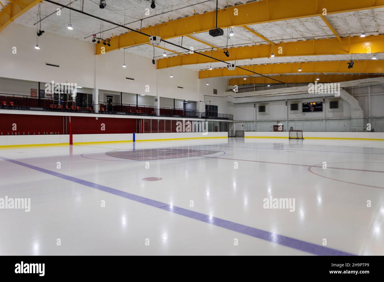 Florida Panthers équipe pendant la séance d'entraînement du matin à Florida Panthers IceDen pour la saison 2021-2022 de la LNH Banque D'Images