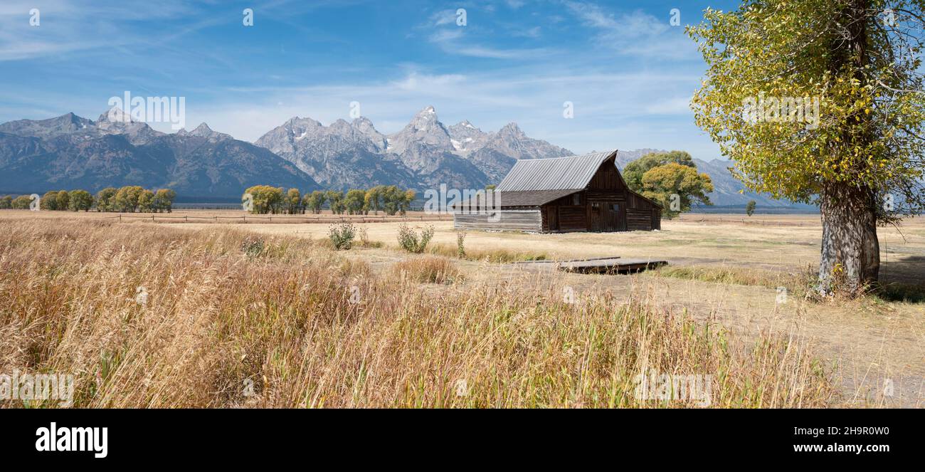 Ancienne grange historique en face du Teton Range, T.A.Molton Barn, quartier historique de Mormon Row, parc national de Grand Teton, Wyoming, États-Unis Banque D'Images