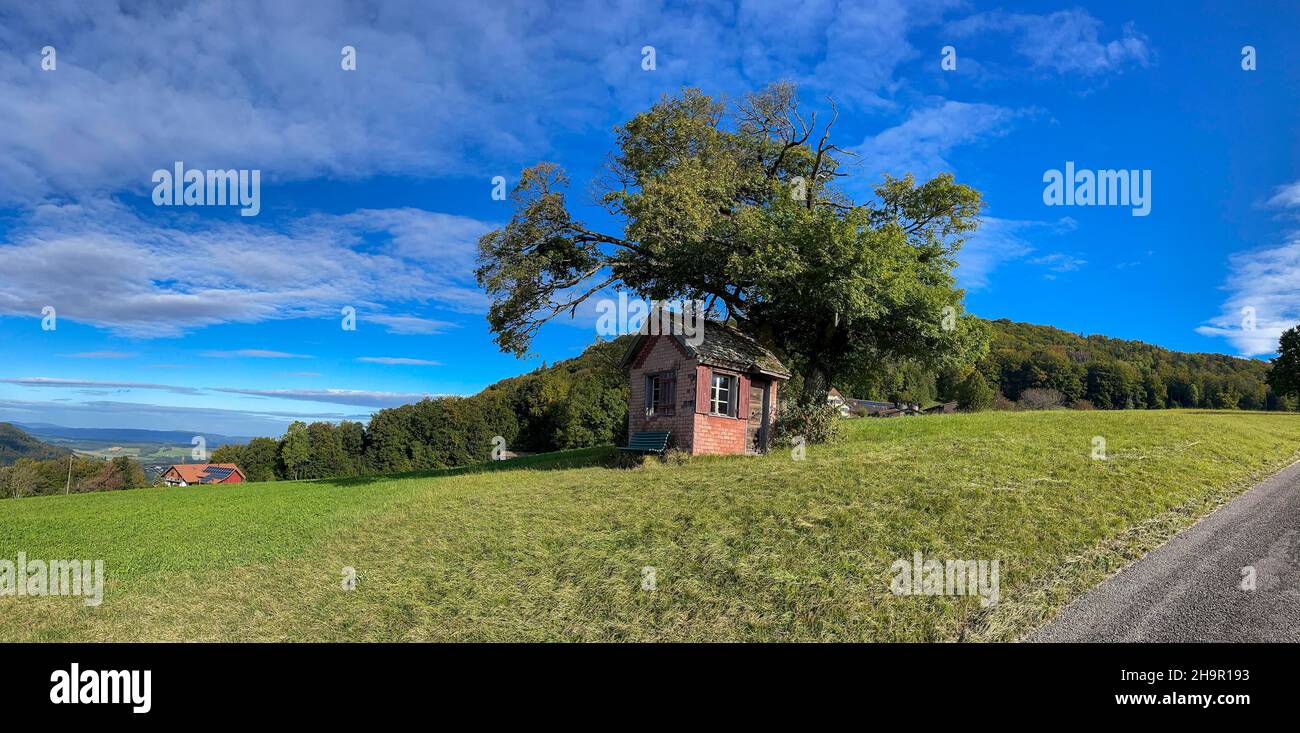 Paysage du début de l'automne avec arbre et cabane en ruine, Wisenberg, Wisen, Soleure, Suisse Banque D'Images