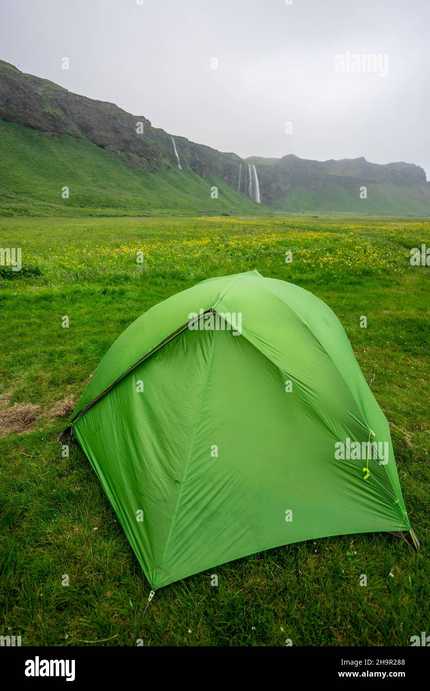 Tente verte, paysage brumeux, Sudurland, Islande du Sud Banque D'Images