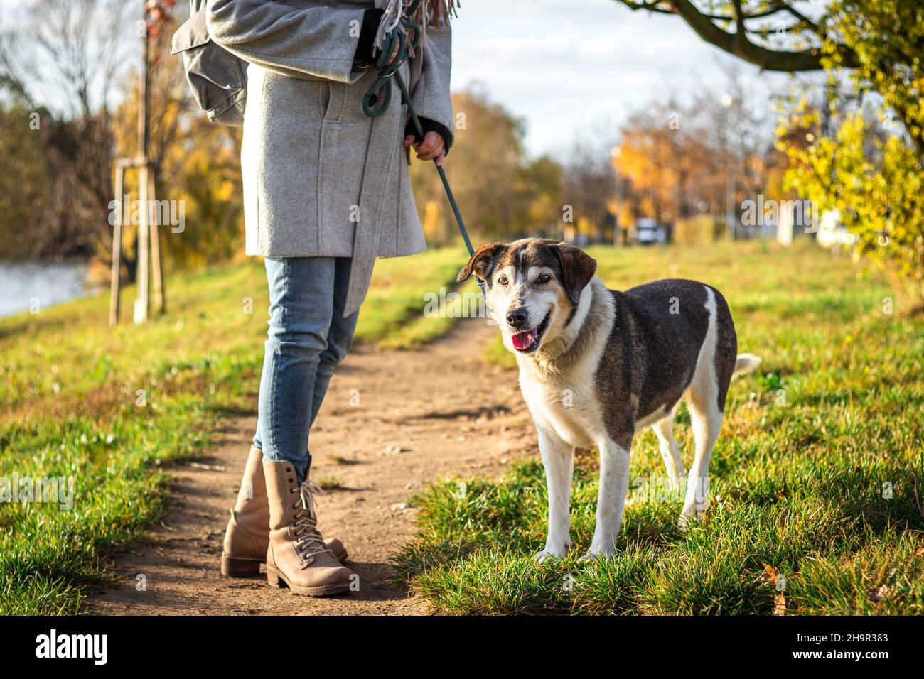 Femme avec chien dans le parc public à l'automne.Propriétaire d'animaux de compagnie marchant pendant la journée ensoleillée.Activités de loisirs en plein air Banque D'Images