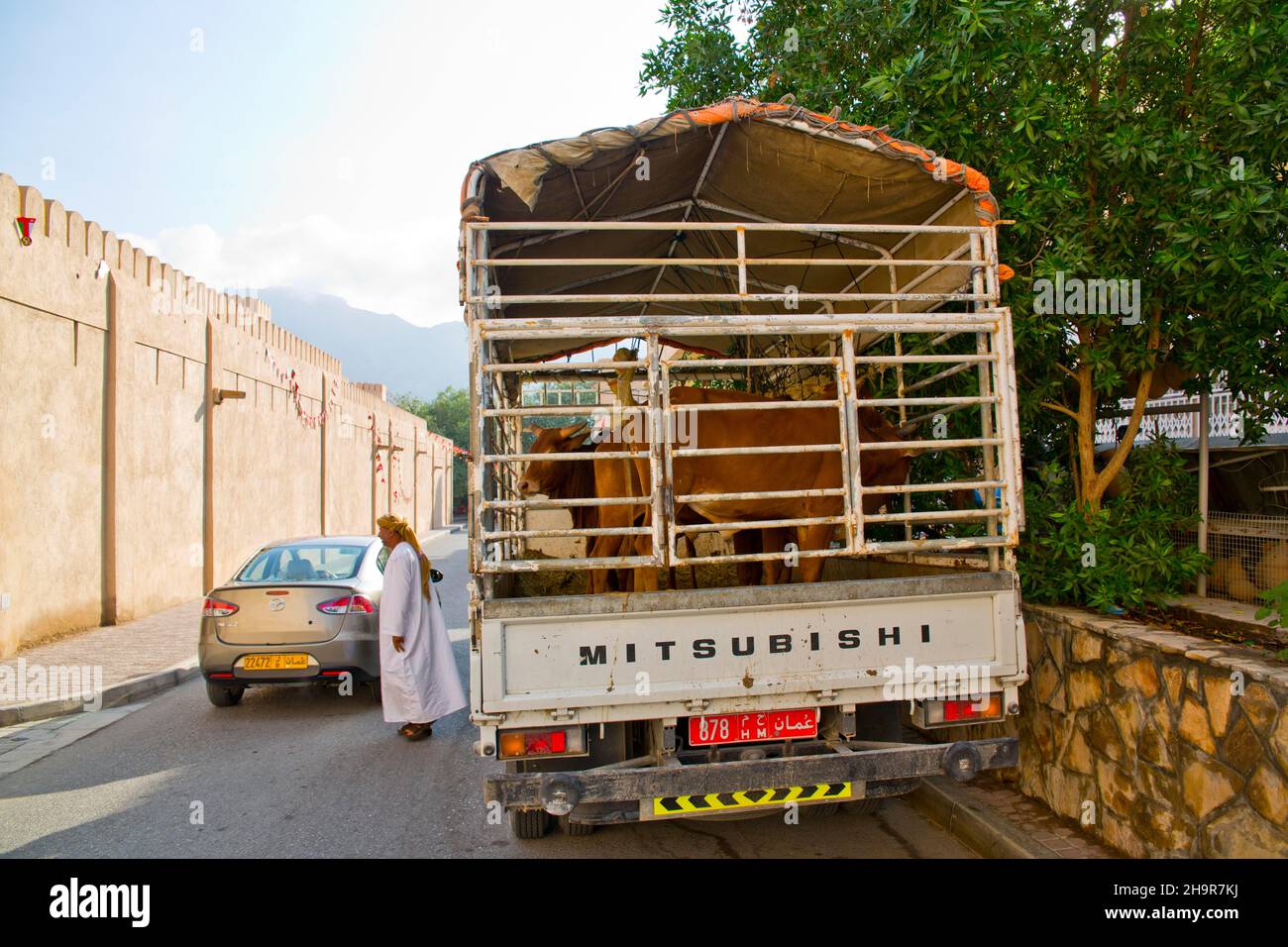 Marché aux bovins, souk, oasis ville de Nizwa, Nizwa, Oman Banque D'Images
