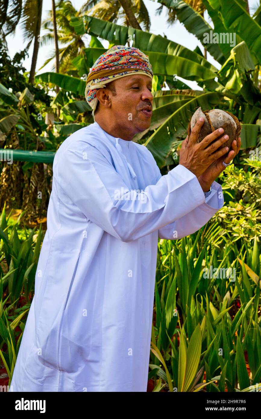 Noix de coco, paradis des fruits et légumes tropicaux, Salalah, Salalah, Dhofar, Oman Banque D'Images