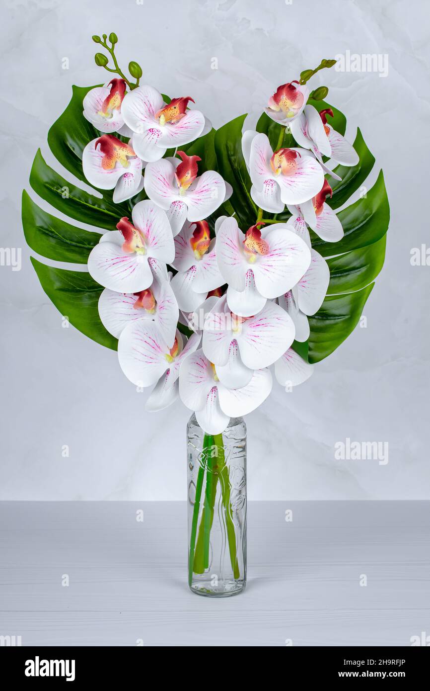 Un bouquet de fleurs dans un vase, des orchidées blanches dans une bouteille de verre sur une table grise.Décoration intérieure.Fleurs encore en vie, carte de vœux, composi d'été Banque D'Images