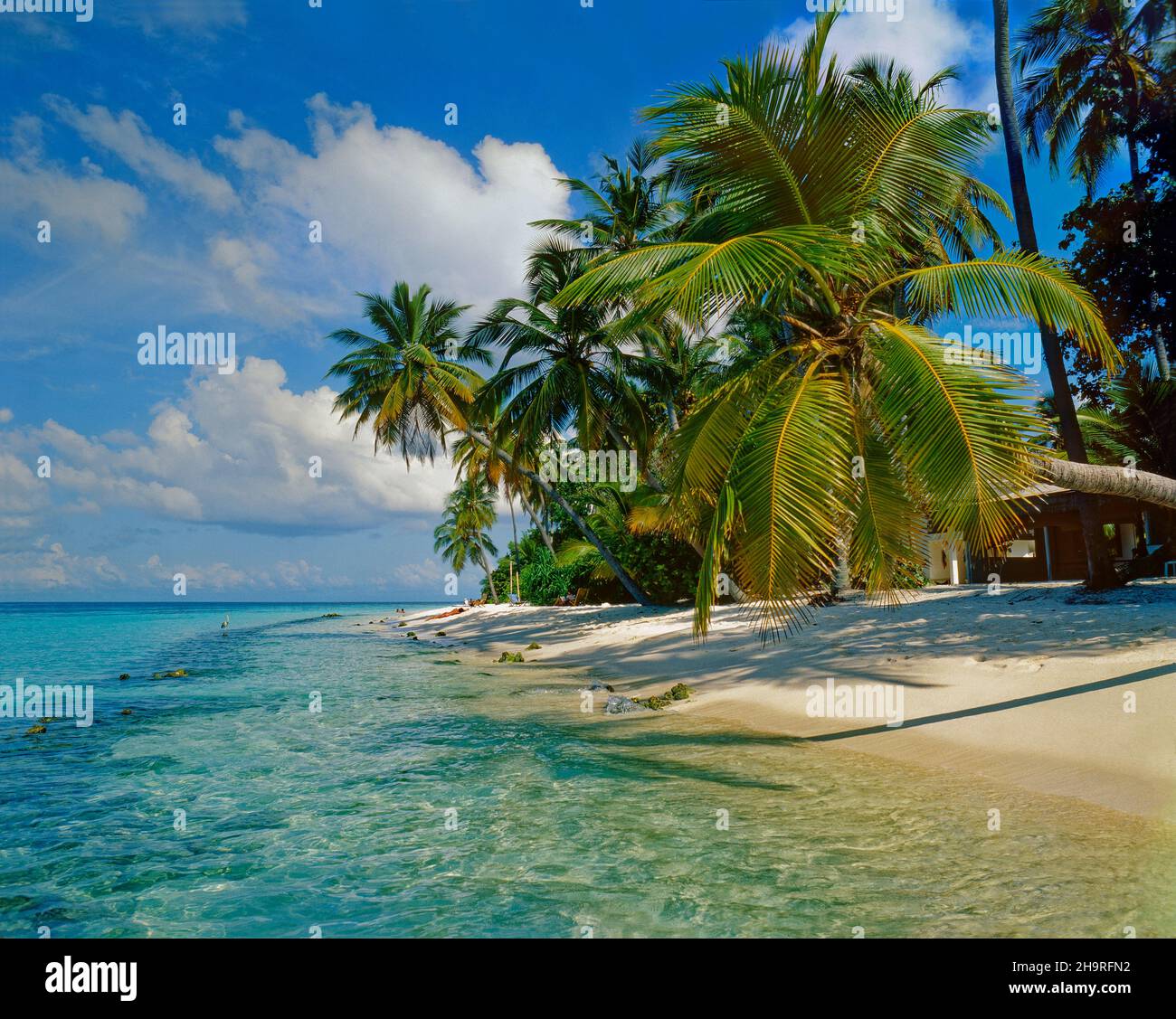 Plage tropicale sur l'île de Nakatcha Fushi aux Maldives. Banque D'Images