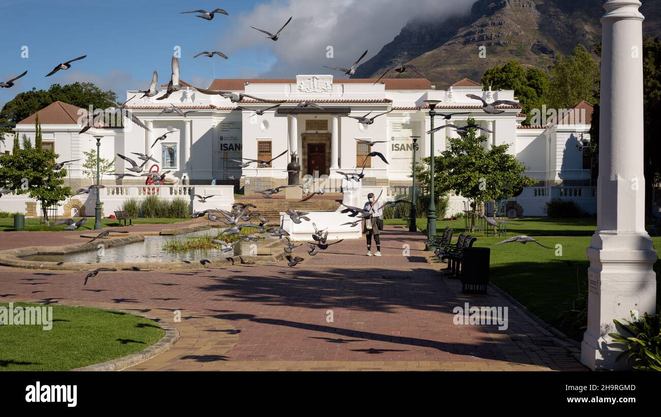 Les pigeons se dispersent devant la South African National Gallery dans le jardin de la Compagnie du Cap, un poumon vert urbain Banque D'Images