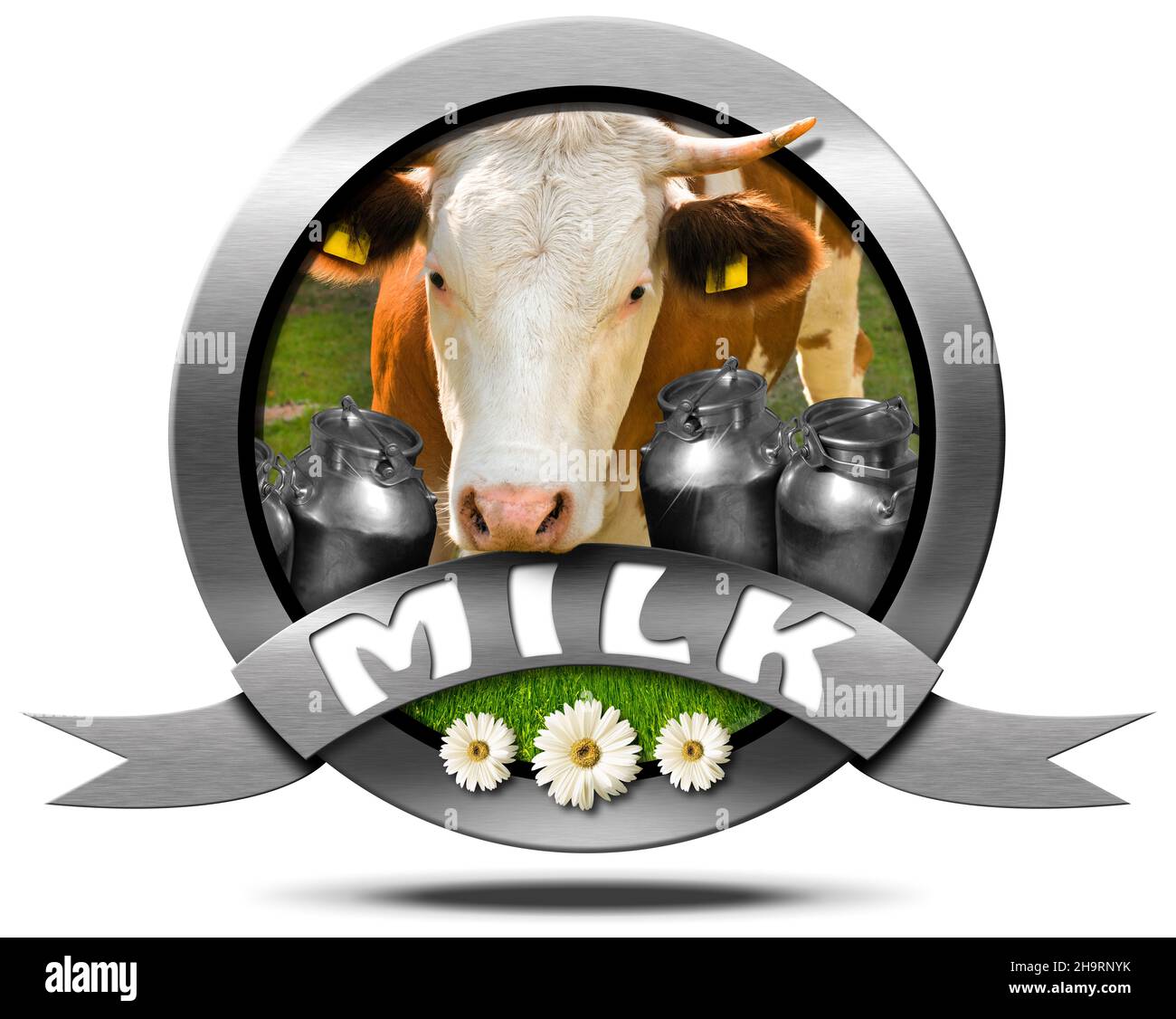Icône ou symbole rond métallique avec tête de vache, pots de lait, herbe verte et trois fleurs de Marguerite.Isolé sur fond blanc. Banque D'Images
