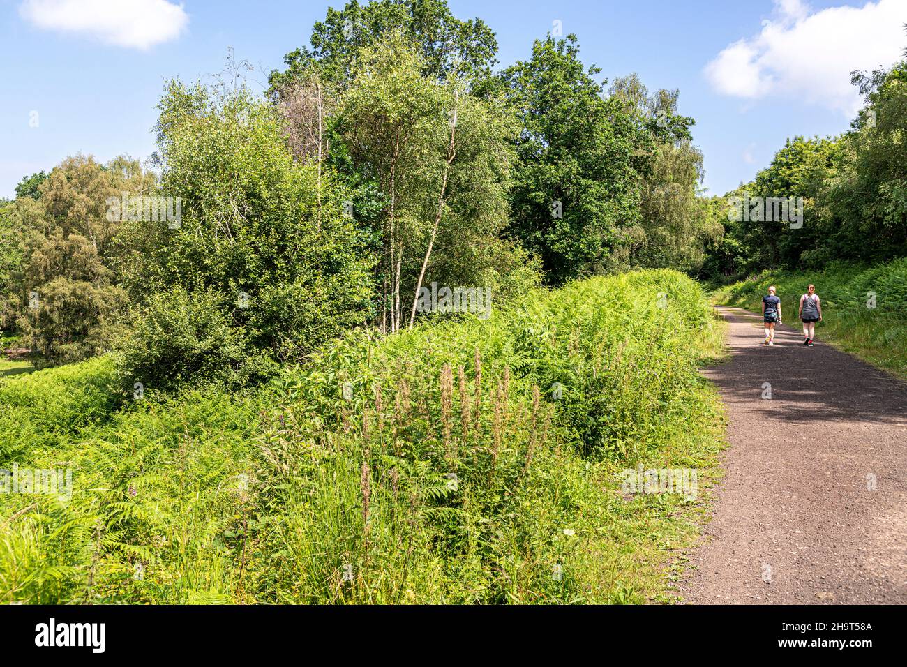 Marcheurs sur un sentier boisé dans la nouvelle Beechenhurst fermeture de la forêt de Dean près de Cannop, Gloucestershire Royaume-Uni Banque D'Images