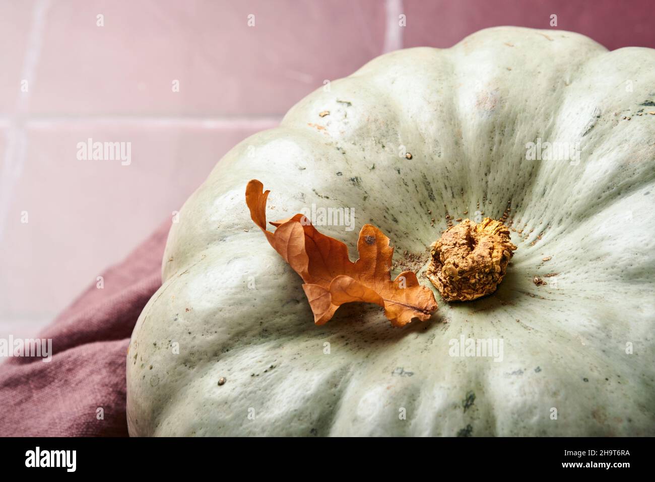 Citrouille.Fond de nourriture d'automne avec cannelle, noix et épices de saison sur fond de carreaux de céramique anciens.Cuisson de la tarte aux pommes ou à la citrouille et des biscuits Banque D'Images
