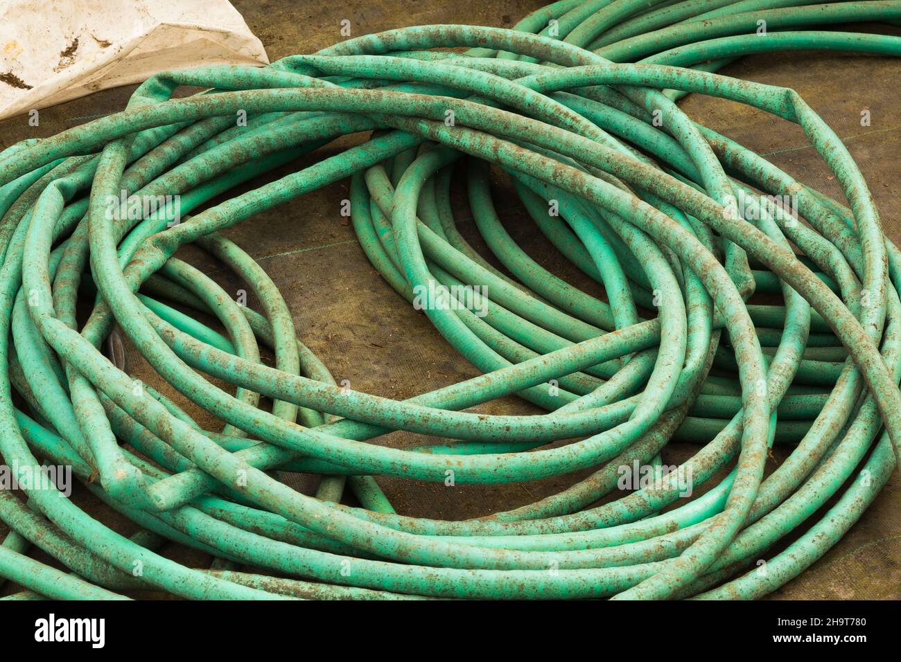 Flexibles de jardin en caoutchouc vert spiralé avec des pliures. Banque D'Images