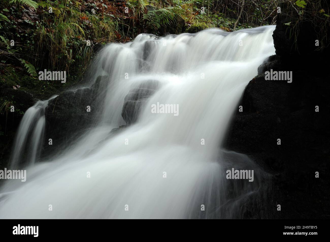 Cascade sur Nant Gwrelych.Environ 10 pieds de hauteur. Banque D'Images