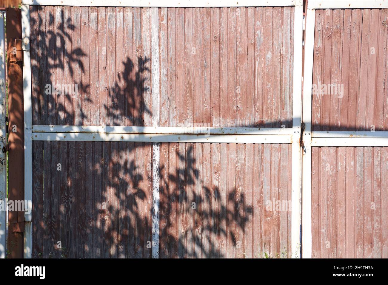 L'ombre sombre des feuilles sur une clôture en bois.Fond en bois neutre, concept nature.Espace pour le texte.Photo de haute qualité Banque D'Images