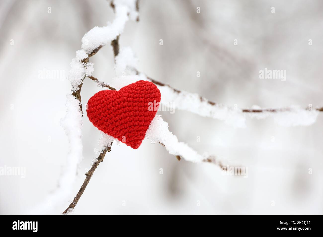 Coeur rouge tricoté dans la neige sur des branches d'arbre en forêt d'hiver.Carte de Saint-Valentin, symboles d'amour, fond pour la fête de Noël Banque D'Images