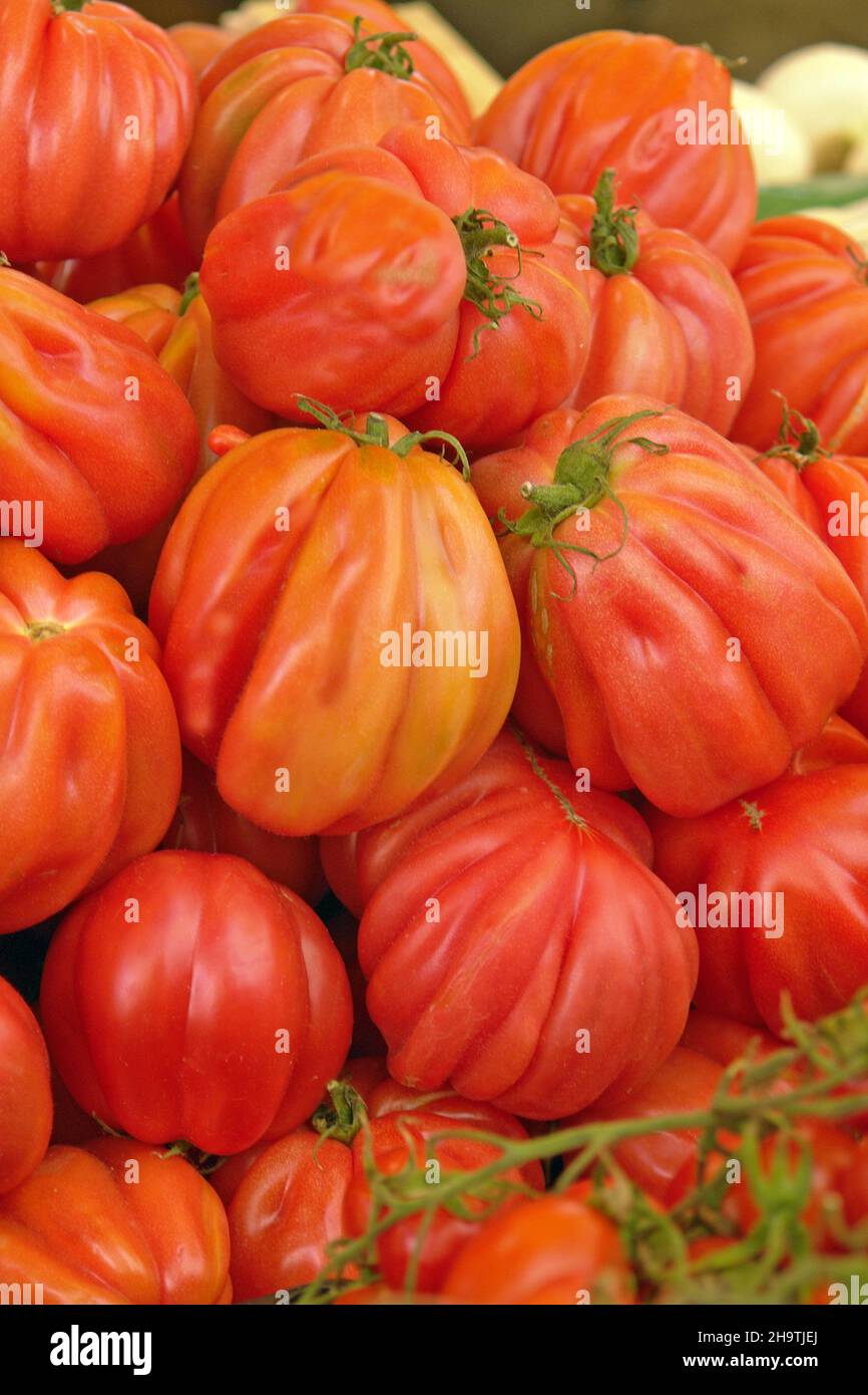 Tomate (Lycopersicon lycopersicum), tomate de boeuf dans un marché, Italie Banque D'Images