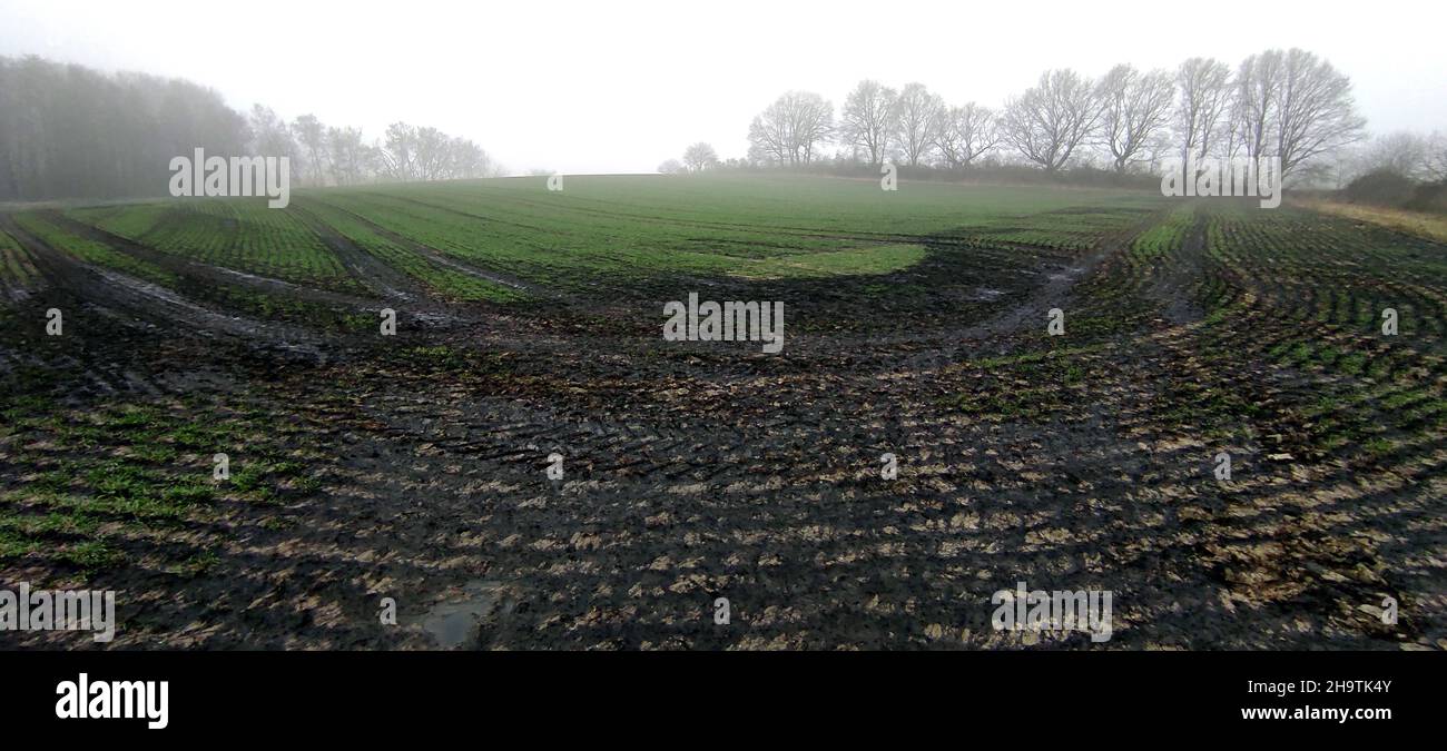 Champ fraîchement fertilisé en hiver, Allemagne, Rhénanie-du-Nord-Westphalie Banque D'Images