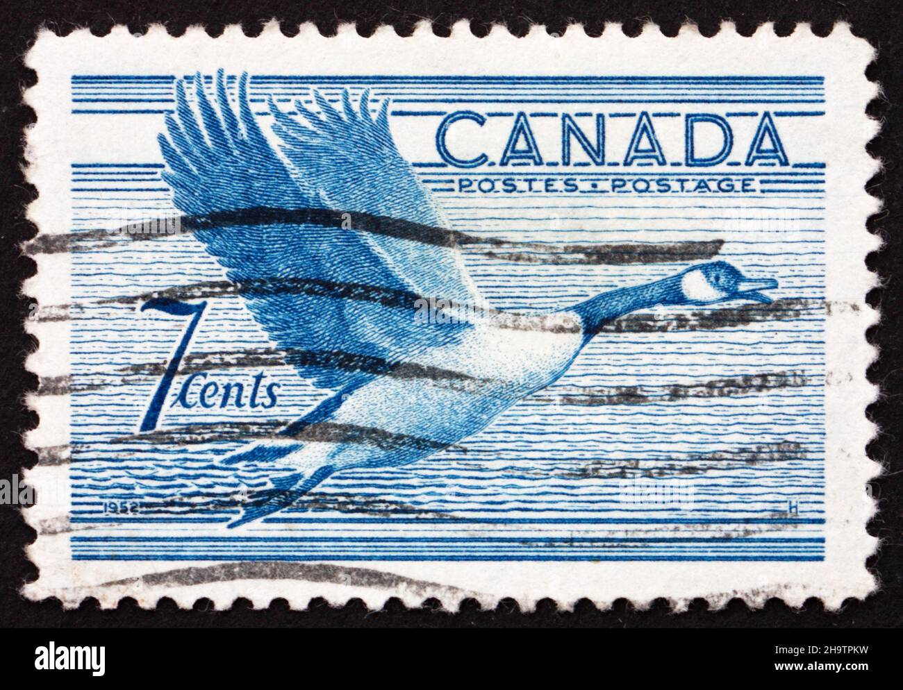 CANADA - VERS 1952 : un timbre imprimé au Canada montre la Bernache du Canada, oiseau, vers 1952 Banque D'Images