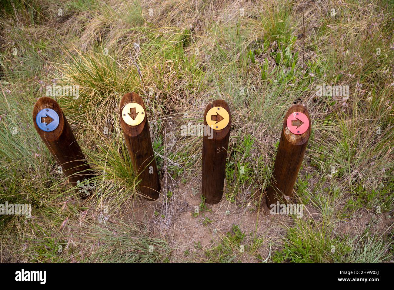 Quatre poteaux en bois avec des flèches de couleur différente attachées pointant dans différentes directions Banque D'Images