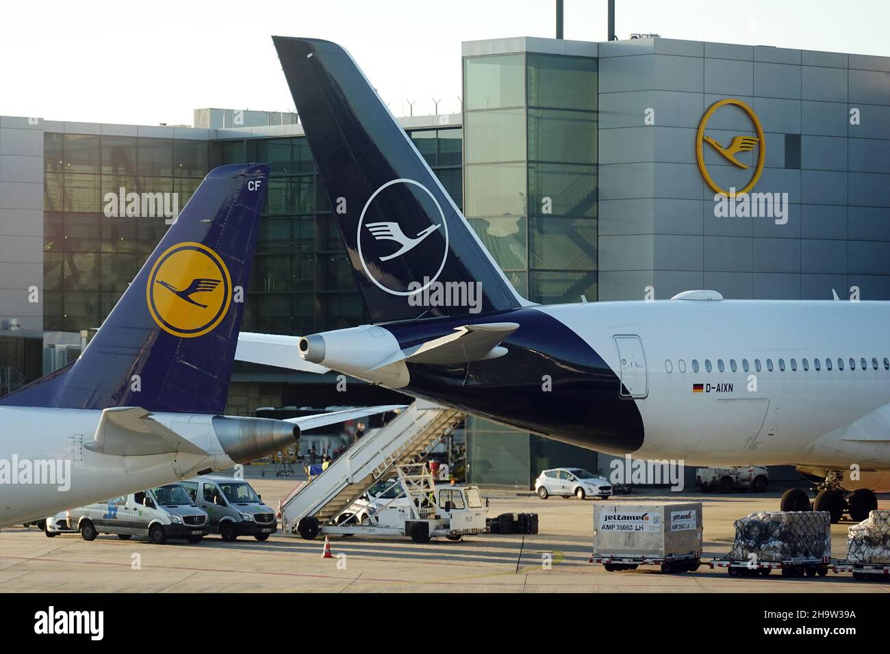 '21.02.2021, Allemagne, Hessen, Francfort-sur-le-main - avion de Lufthansa dans l'ancienne et la nouvelle livrée au terminal de l'aéroport.00S210221D509CAROEX.JPG Banque D'Images