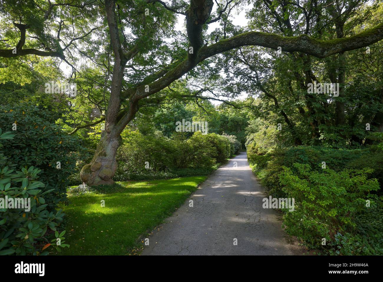 '21.09.2021, Allemagne, Rhénanie-du-Nord-Westphalie, Essen - chemin dans le Grugapark, un parc à Essen, est de la première grande exposition horticole de Ruhrlaendische Banque D'Images