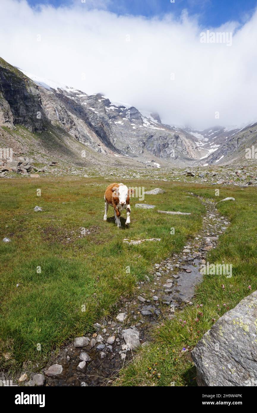 Le Parc National Hohe Tauern Banque D'Images