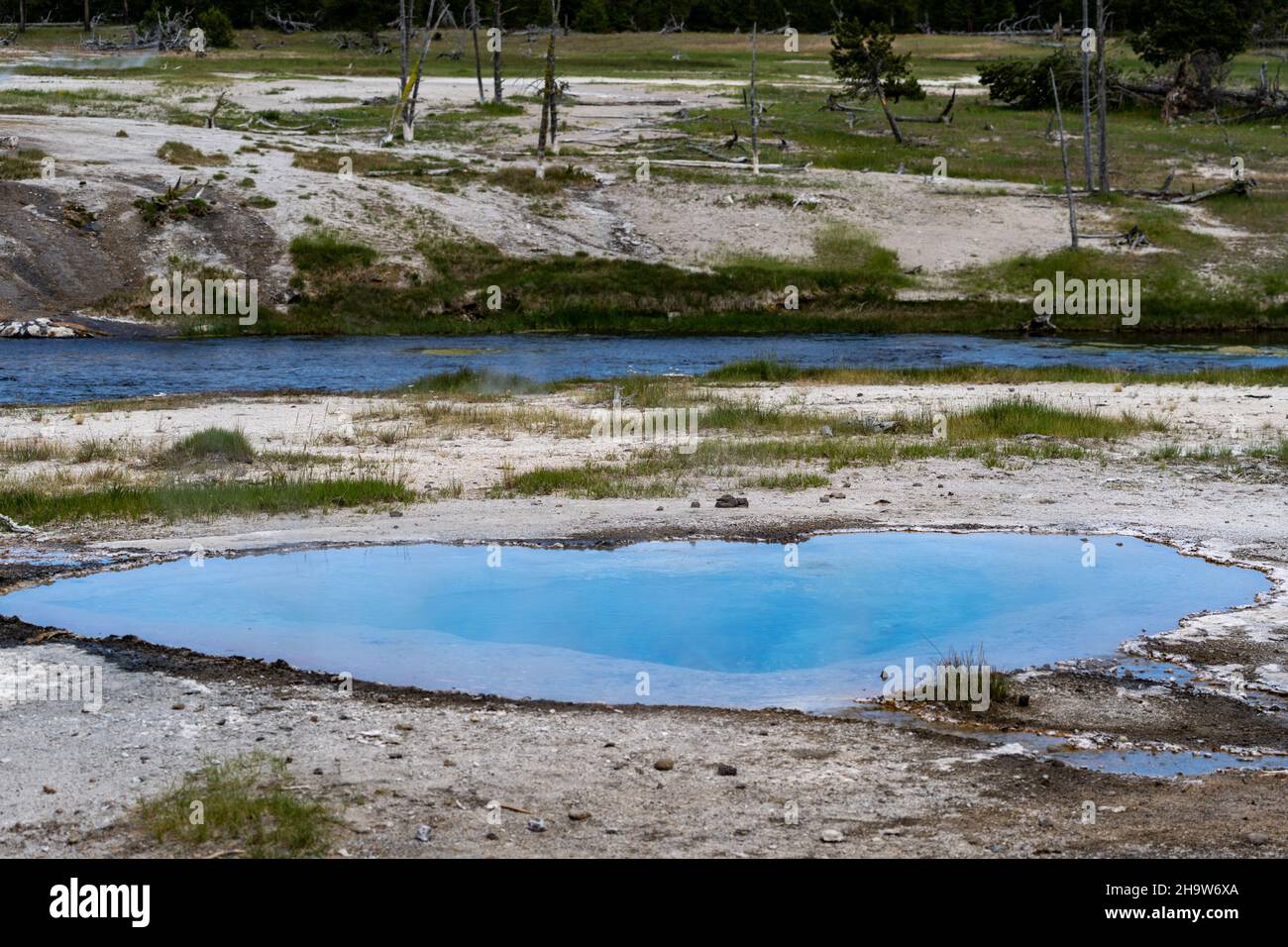 Source d'eau chaude sans nom dans le parc national de Yellowstone avec une jolie eau bleue laiteuse Banque D'Images