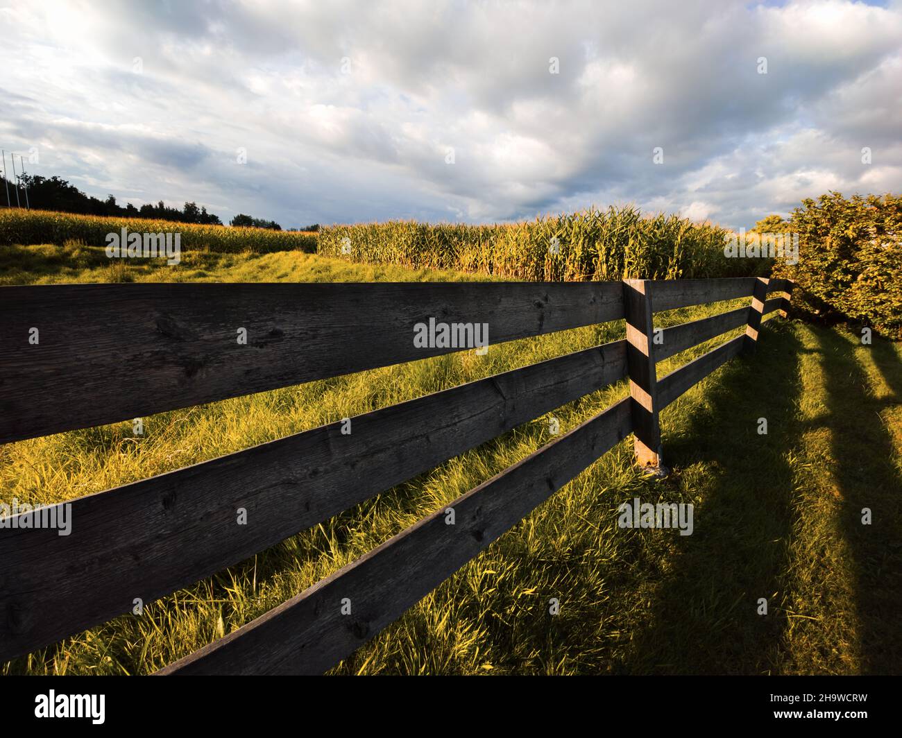 Clôture en bois près d'un grand pré vert sous un ciel nuageux Banque D'Images