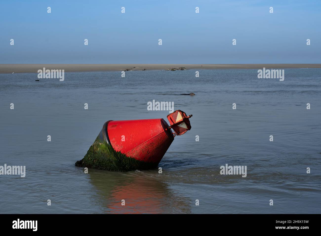 bouée rouge dans la mer flottante.Le phoque nage en arrière-plan, le ciel est bleu. Banque D'Images