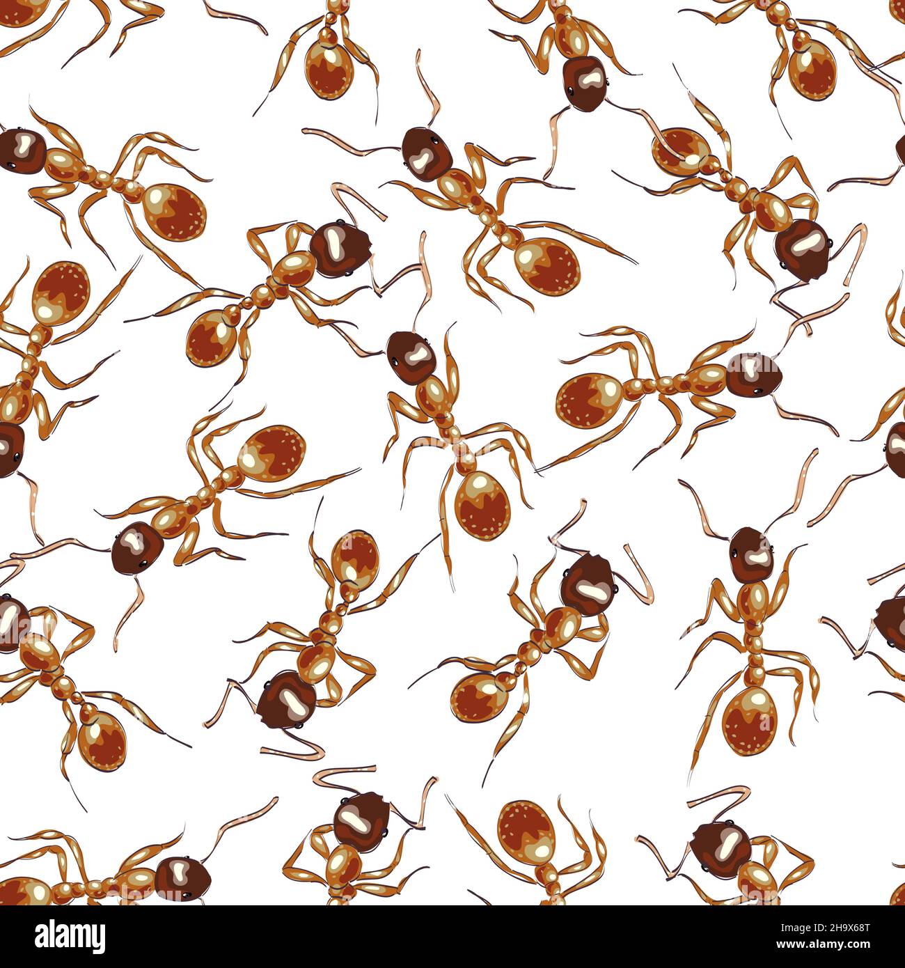 Fourmis rouges.Arrière-plan transparent.Illustration vectorielle. Illustration de Vecteur