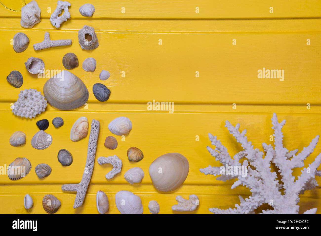 Les petits coquillages et le corail de différentes tailles et couleurs sont éparpillés sur un fond en bois jaune.En haut à droite, il y a un endroit pour une inscriptio Banque D'Images