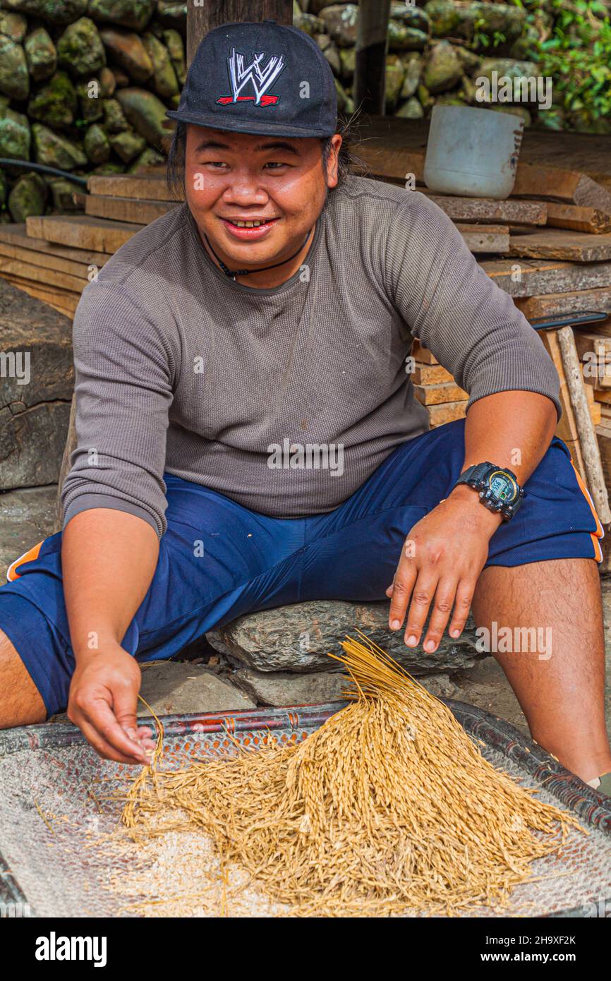 CAMBULO, PHILIPPINES - 22 JANVIER 2018 : homme local avec du riz récolté dans le village de Cambulo, île de Luzon, Philippines Banque D'Images