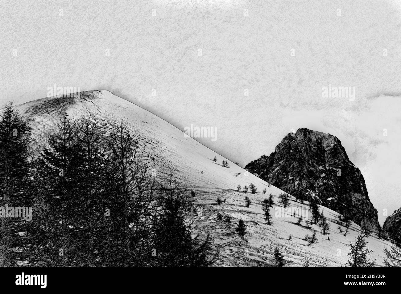Illustration avec la technique du charbon de bois de pic neigeux entouré par des larches Banque D'Images