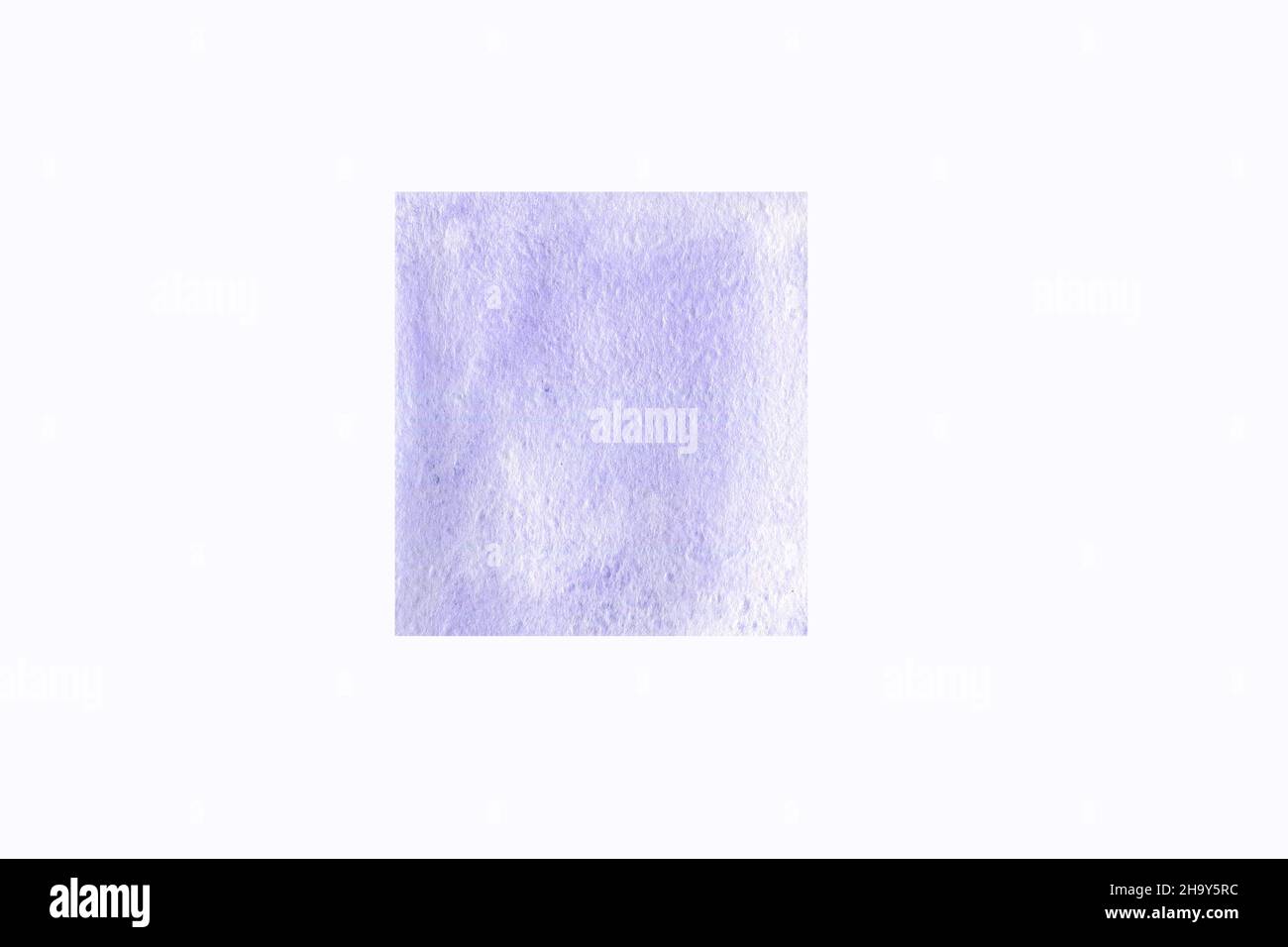 Peinture à l'aquarelle violette sur fond blanc.Couleur péri de l'année 2022 Banque D'Images