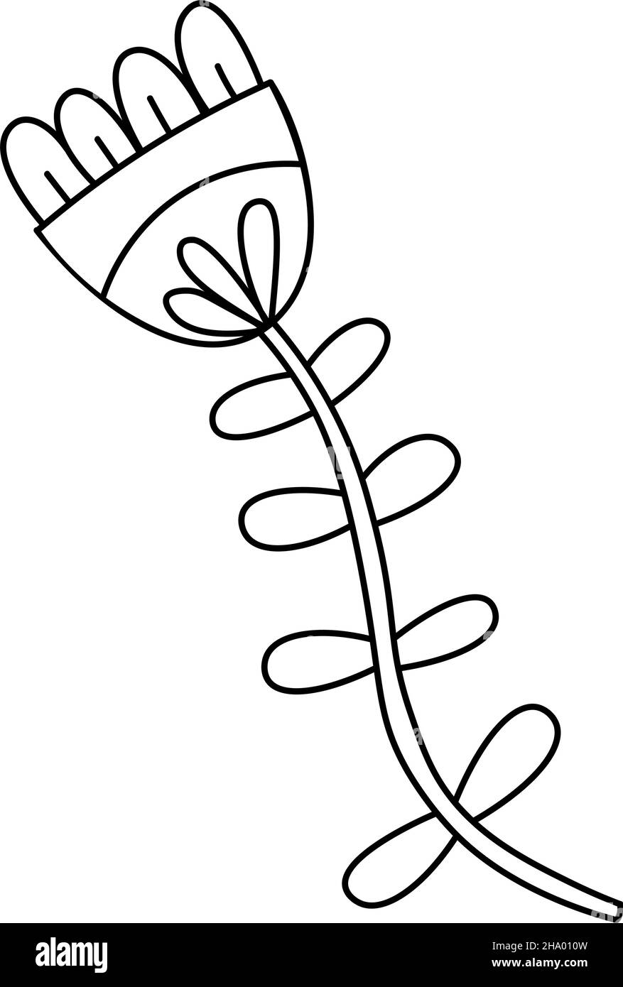 Décoration de fleurs.Dessin pour le design, le logo, la carte postale, la décoration.Tisane.Page de coloriage des fleurs pour adultes et enfants.Illustration vectorielle dans doodle Illustration de Vecteur