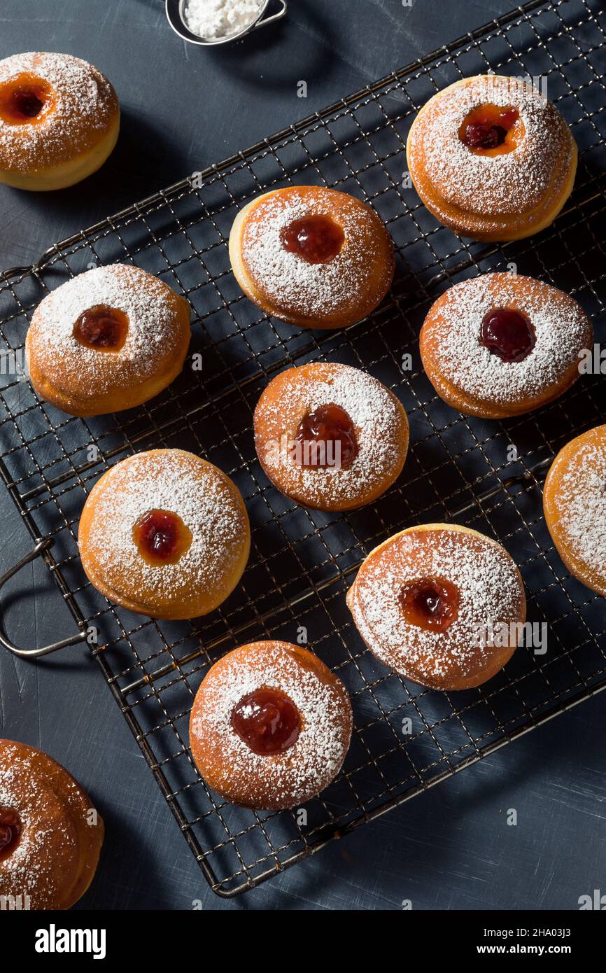 Beignets de sufganiyot Jelly juifs faits maison avec du sucre en poudre Banque D'Images