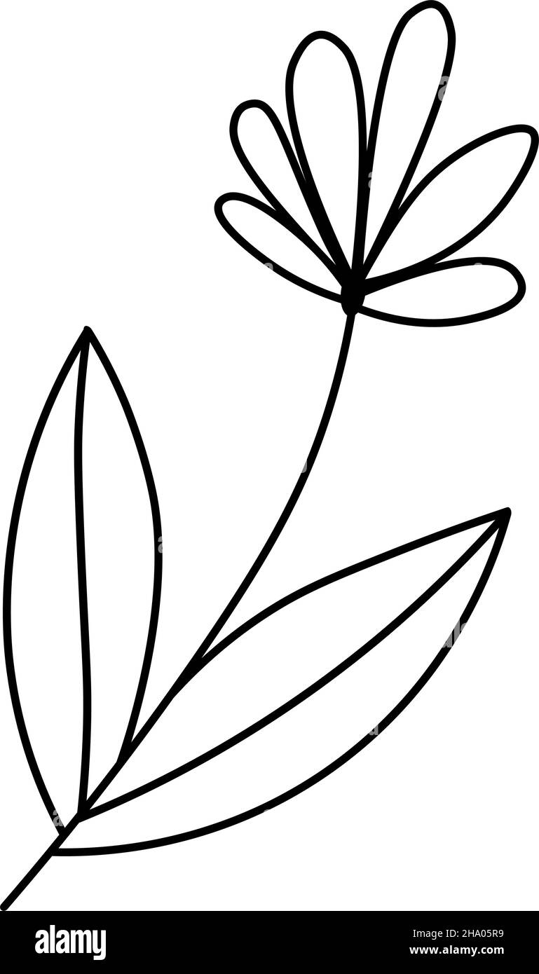 Décoration de fleurs.Illustration vectorielle de style doodle isolée en arrière-plan.Dessin pour le design, le logo, la carte postale, la décoration.Tisane. Illustration de Vecteur