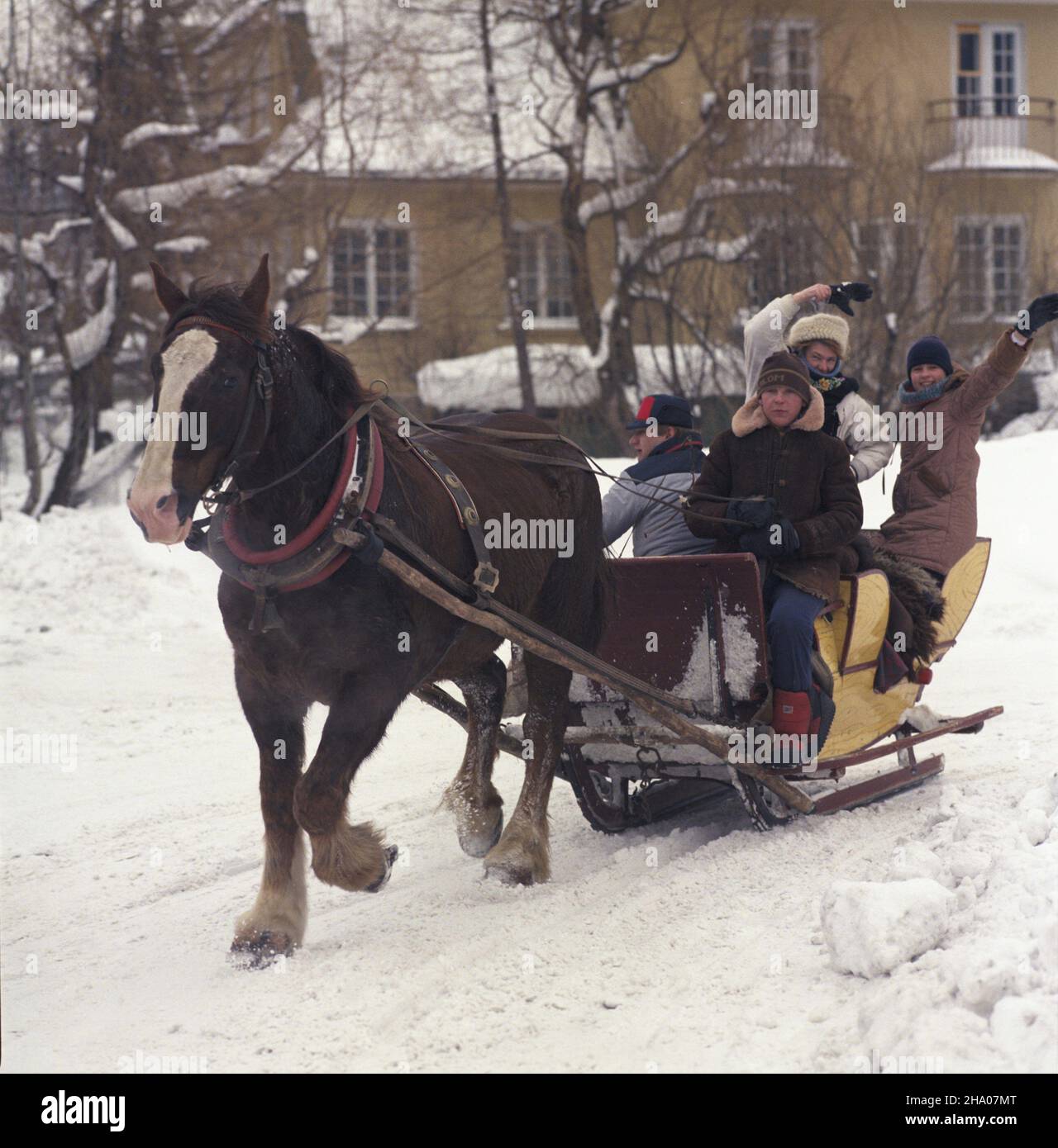 Zakopane 02.1987.Kulig - atrakcja dla dzieci i turystów. ka PAP/Jan Morek Dok³adny dzieñ wydarzenia nieustalony.Zakopane, février 1987.Une promenade en traîneau - une attraction pour les enfants et les touristes. ka PAP/Jan Morek jour d'événement inconnu Banque D'Images