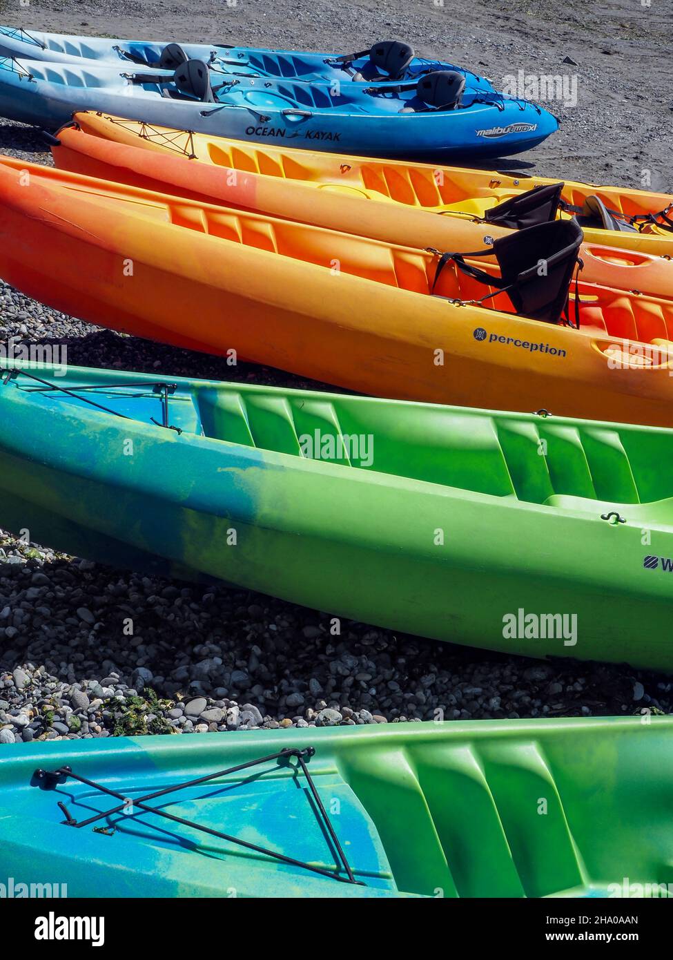 WA19838-00...WASHINGTON - des kayaks colorés prêts à être loués sur la plage de Bowman Bay dans le parc national de Desception Pass. Banque D'Images