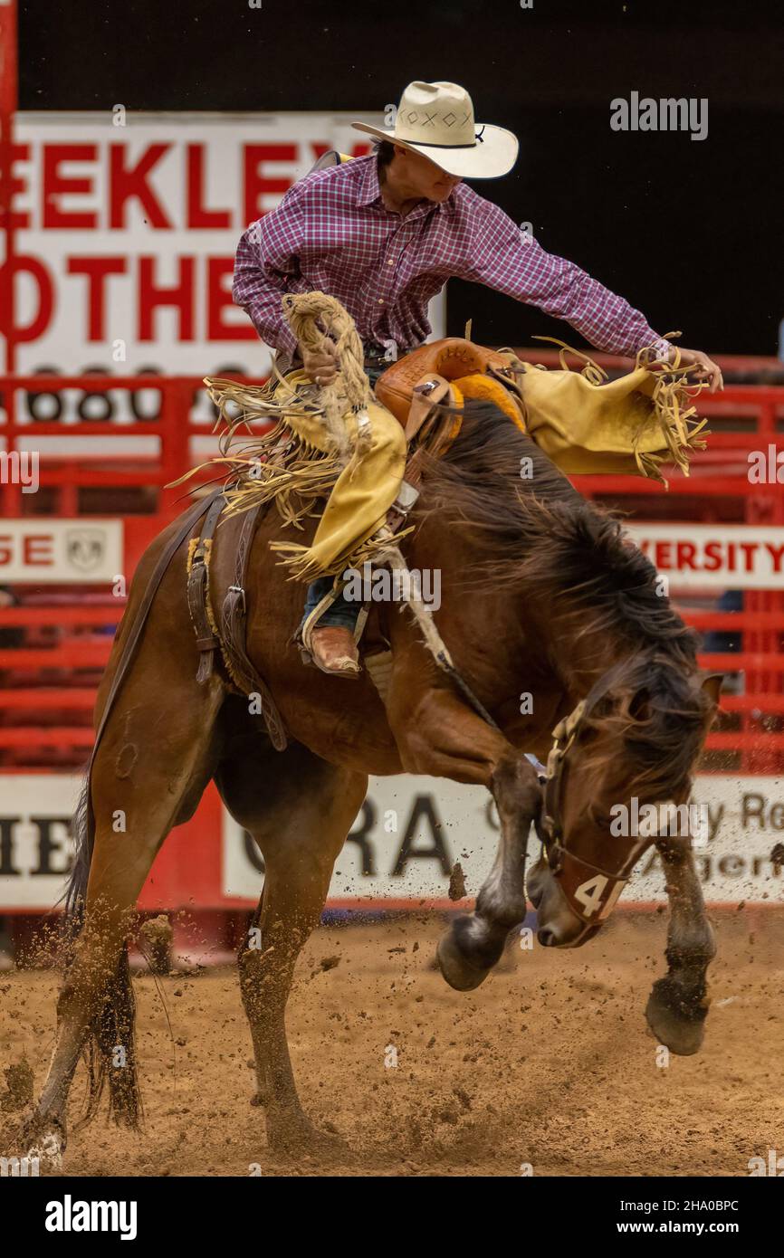Saddle Bronc Riding vu sur Southeastern circuit finals Rodeo pendant l'événement. Banque D'Images