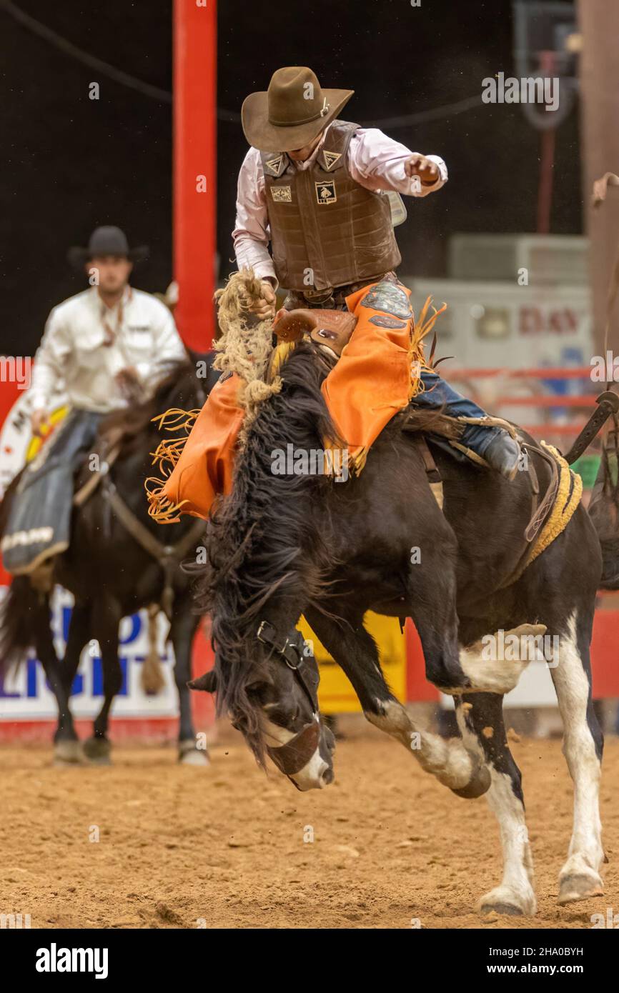Saddle Bronc Riding vu sur Southeastern circuit finals Rodeo pendant l'événement. Banque D'Images