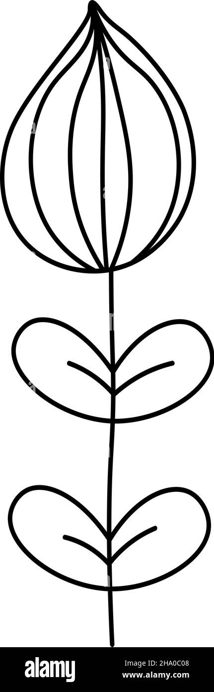 Décoration de fleurs.Illustration vectorielle de style doodle isolée en arrière-plan.Dessin pour le design, le logo, la carte postale, la décoration.Tisane. Illustration de Vecteur