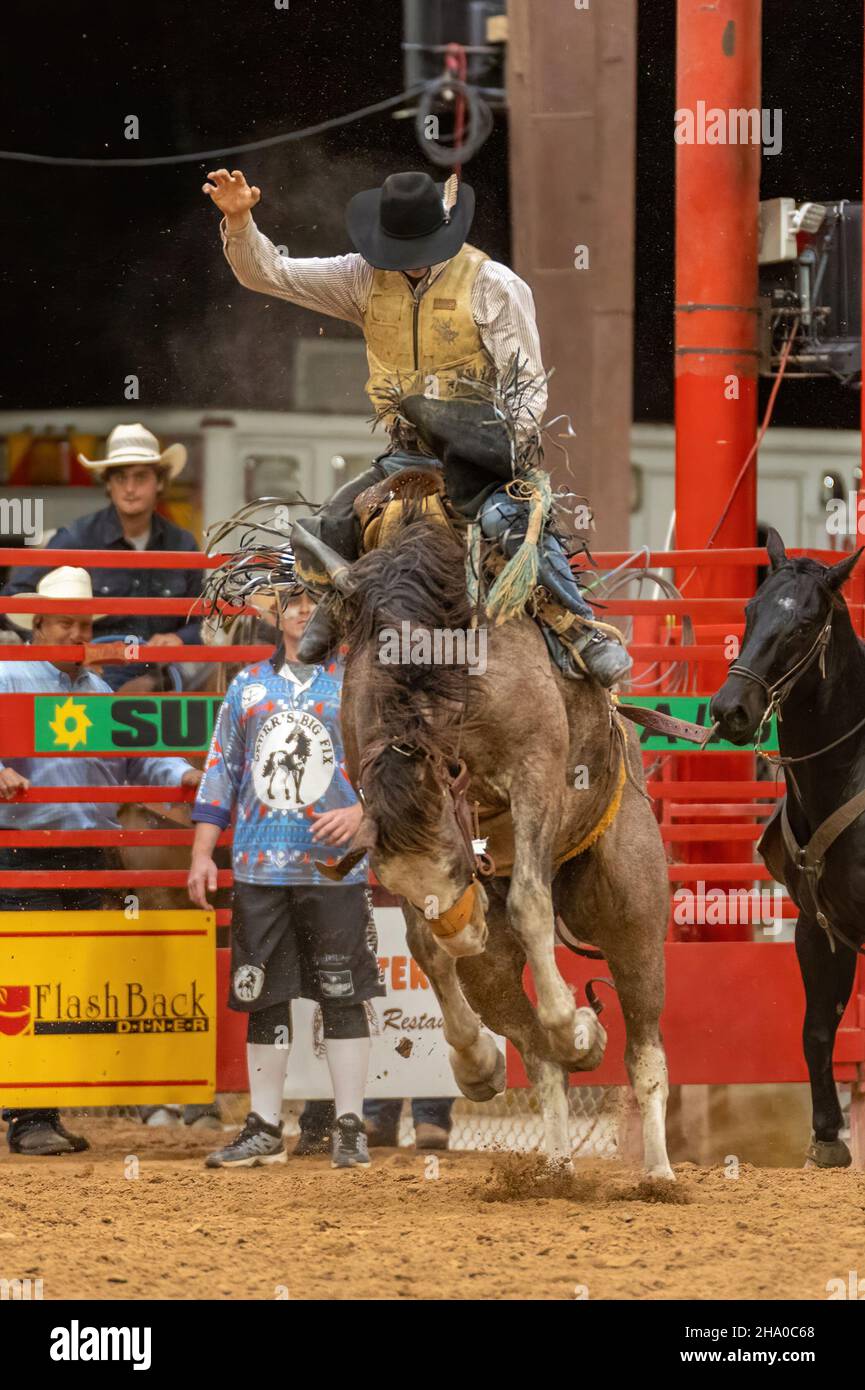 Saddle Bronc Riding vu sur Southeastern circuit finals Rodeo pendant l'événement. Banque D'Images